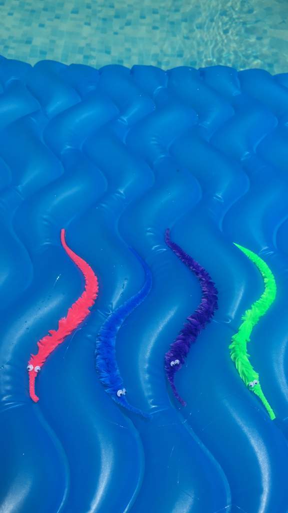 Pool Worms Wiki *+*+Worm on a string+*+* Amino