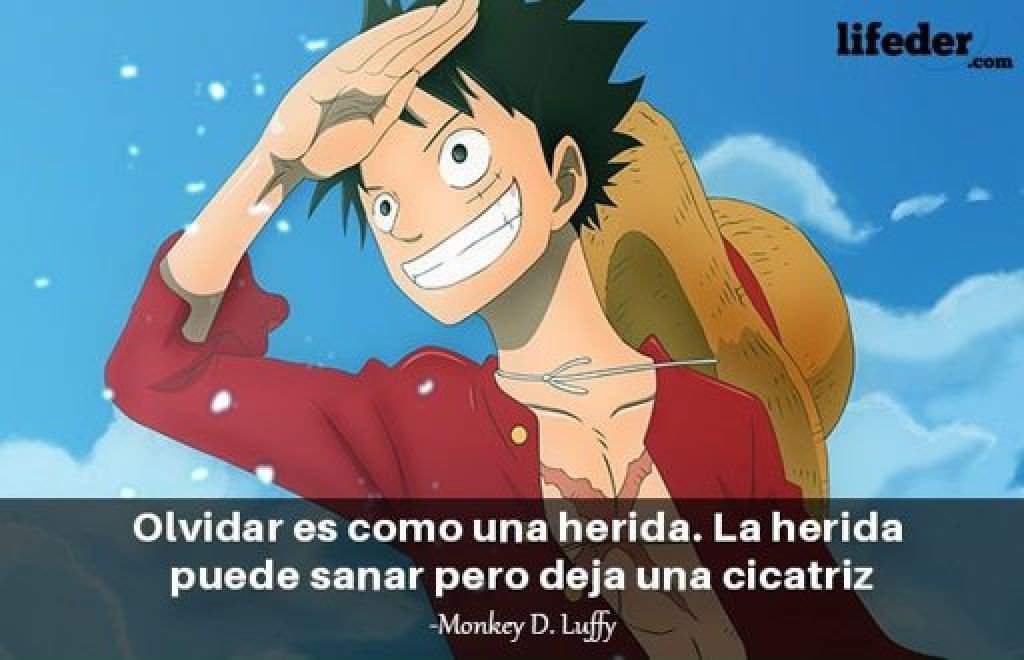 Frases | •One Piece• Amino