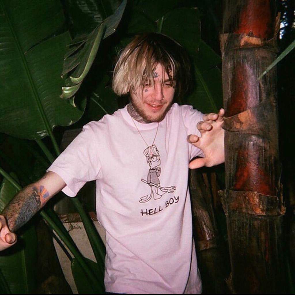 gustav elijah åhr | Wiki | ★ Lil Peep ★ Amino