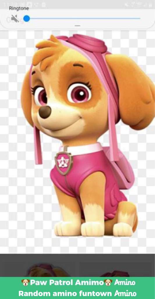 sky mighty pup