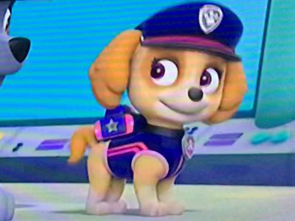 sky mighty pup