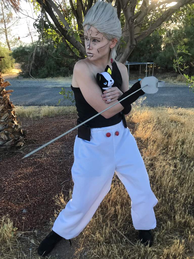 Jean Pierre Polnareff Cosplay Jojo Amino Amino