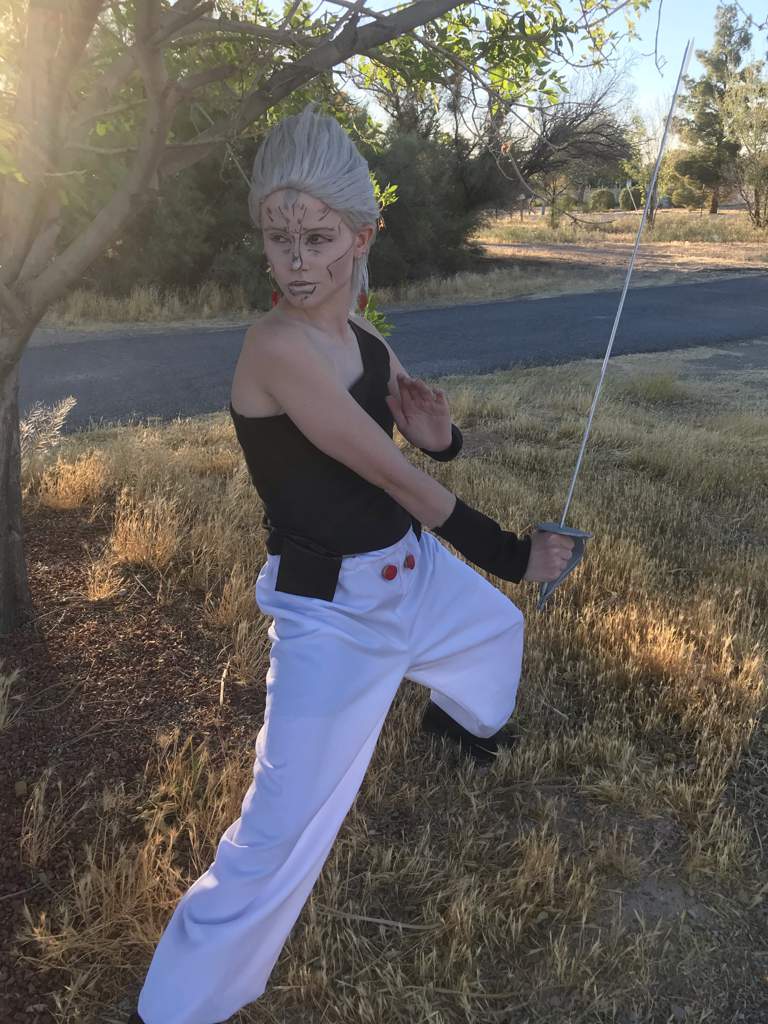 Jean Pierre Polnareff Cosplay Jojo Amino Amino