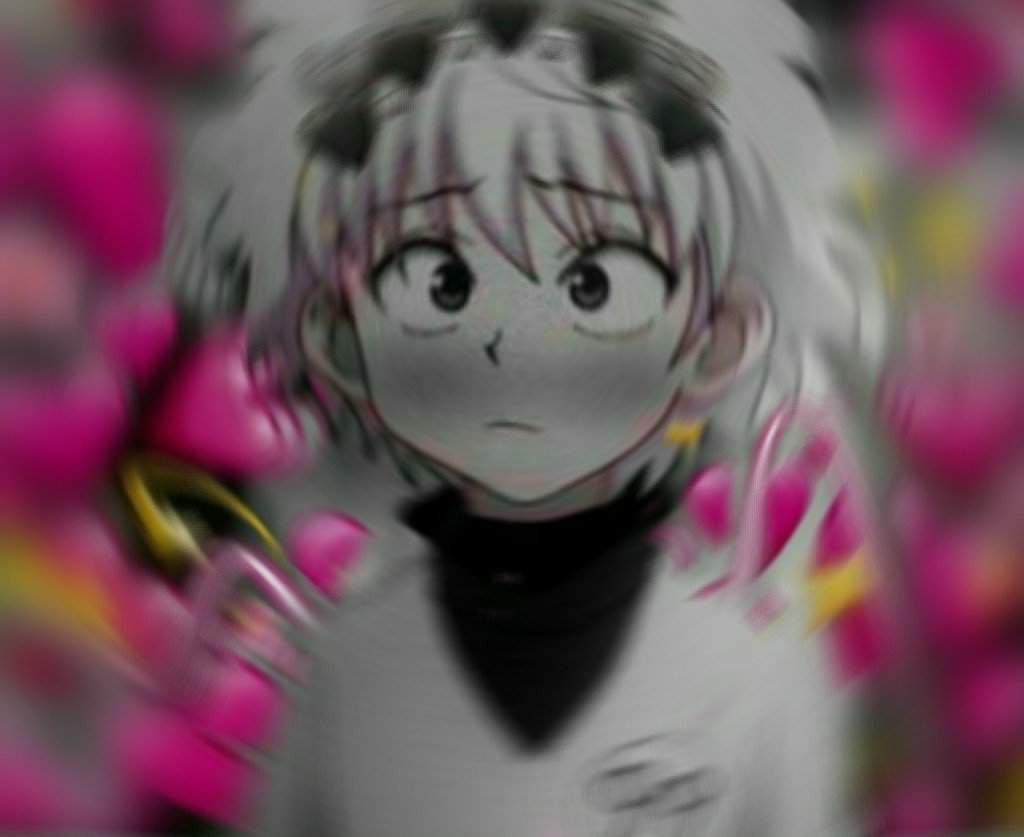 Shikimori Nest Pas Juste Mignonne Scan Vf Une édite :0 | Hunter X Hunter {vf} Amino
