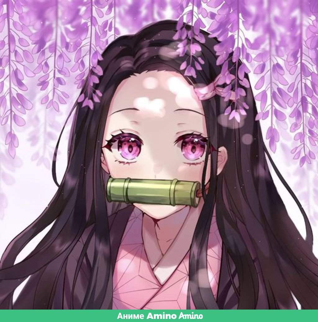 💛Nezuko or Shinobu ?💜🖤 | Аниме Amino Amino