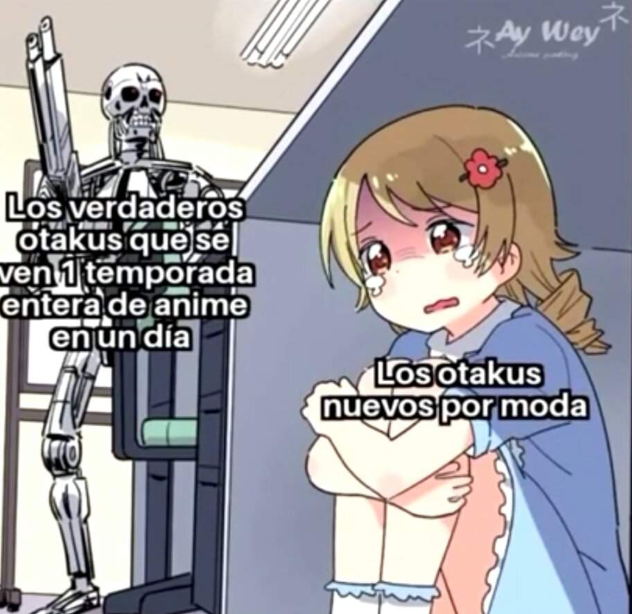 Memes Otakus Para Otakus Xxxvi Sip S Lo Anime Amino