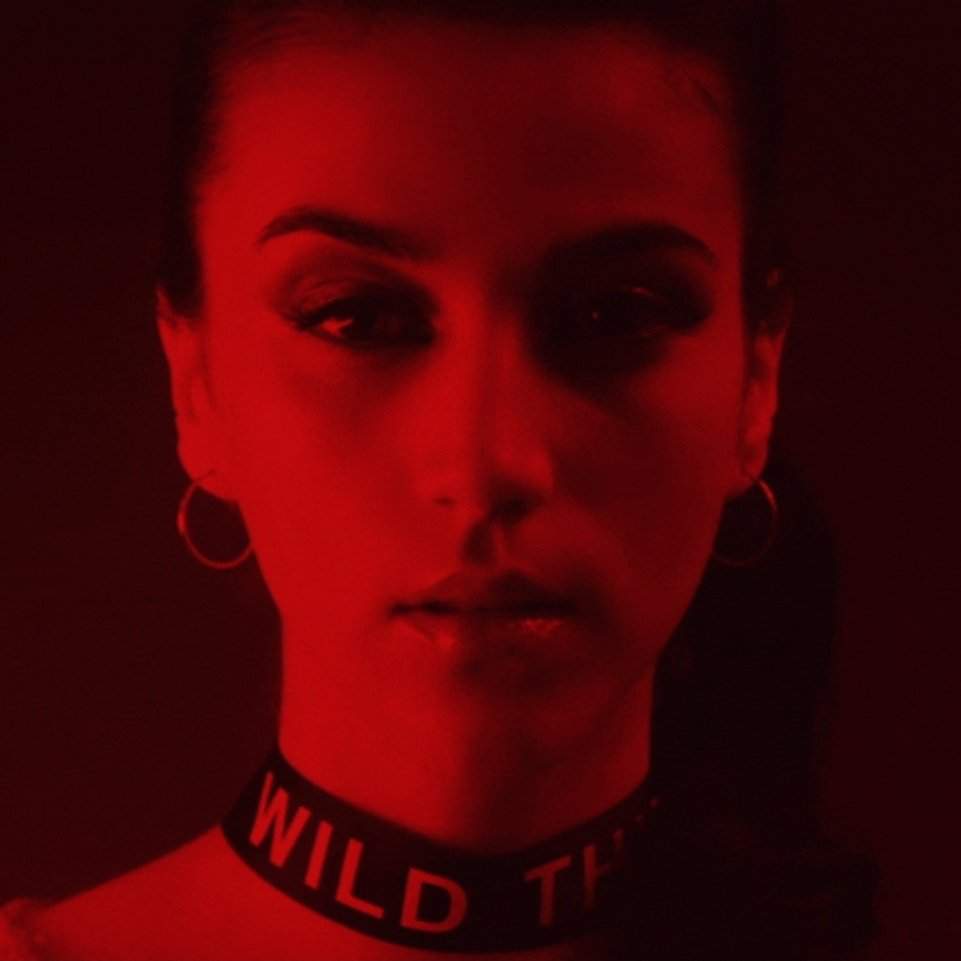 𝙉𝘼𝙍𝘾𝙊 𝘽𝘼𝙍𝘽𝙄𝙀 | Wiki | Elite Amino