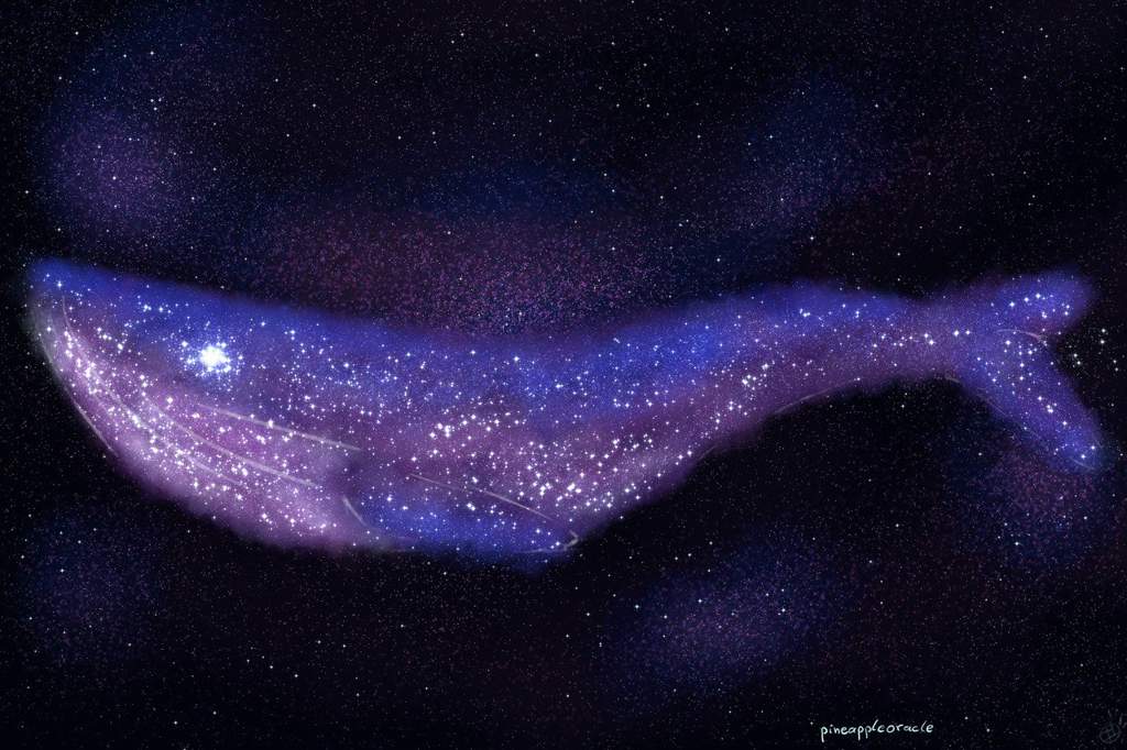 The loneliest whale in the universe | ARMY's Amino