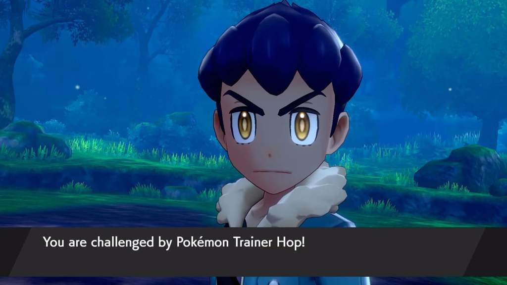 hop pokemon anime hop pokemon anime