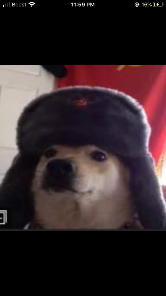 Featured image of post R6 Dog Pfp