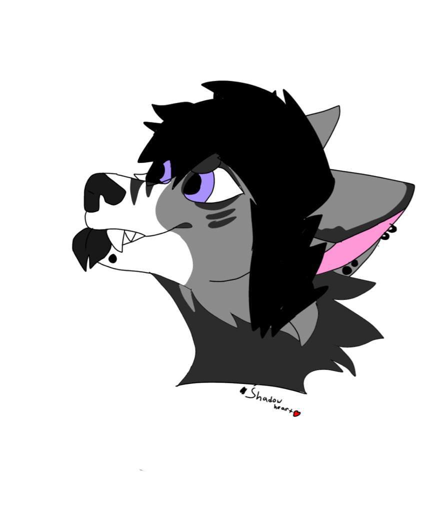 Enzo | Wiki | Furry Amino