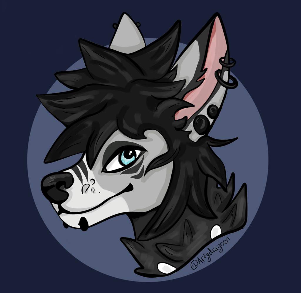 Enzo | Wiki | Furry Amino