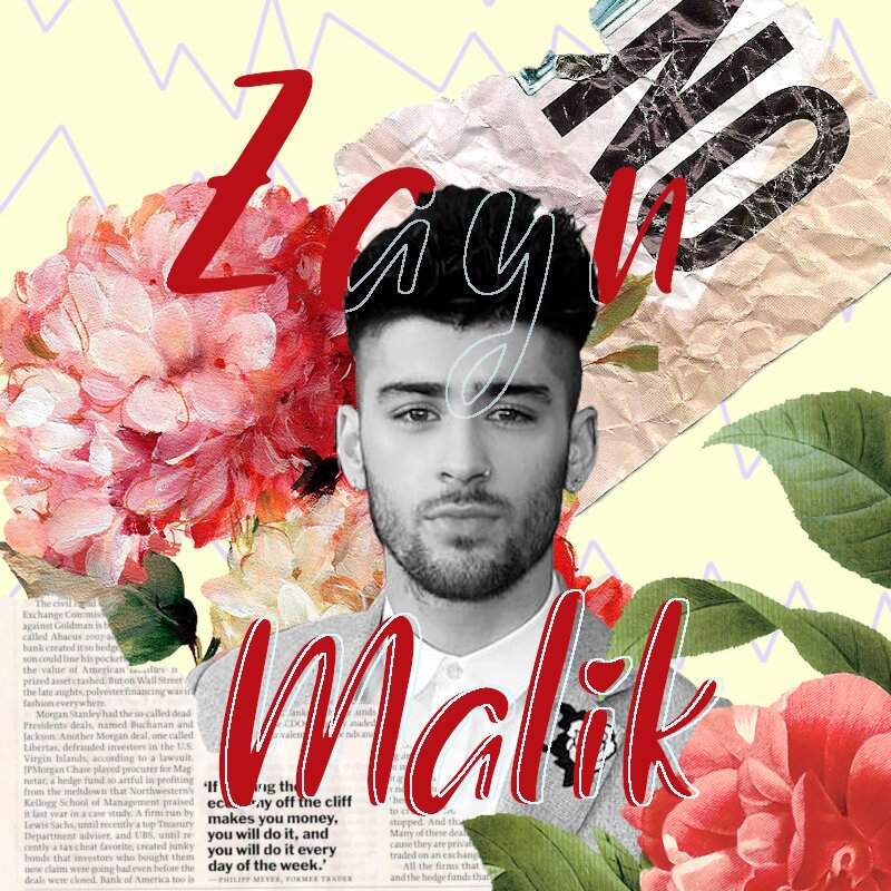 Zayn Malik Wiki One Direction Español Amino 