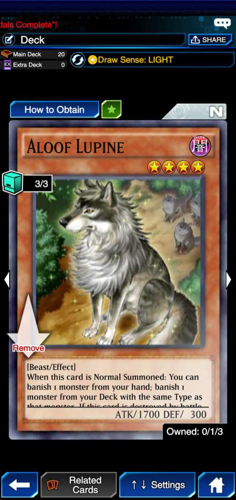 aloof lupine aloof lupine