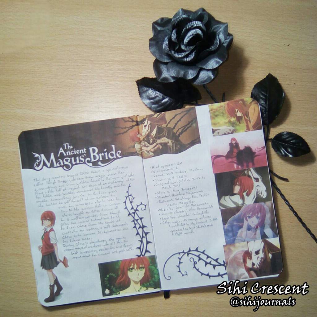 Anime Journal - The Ancient Magus' Bride | Bullet Journal Amino