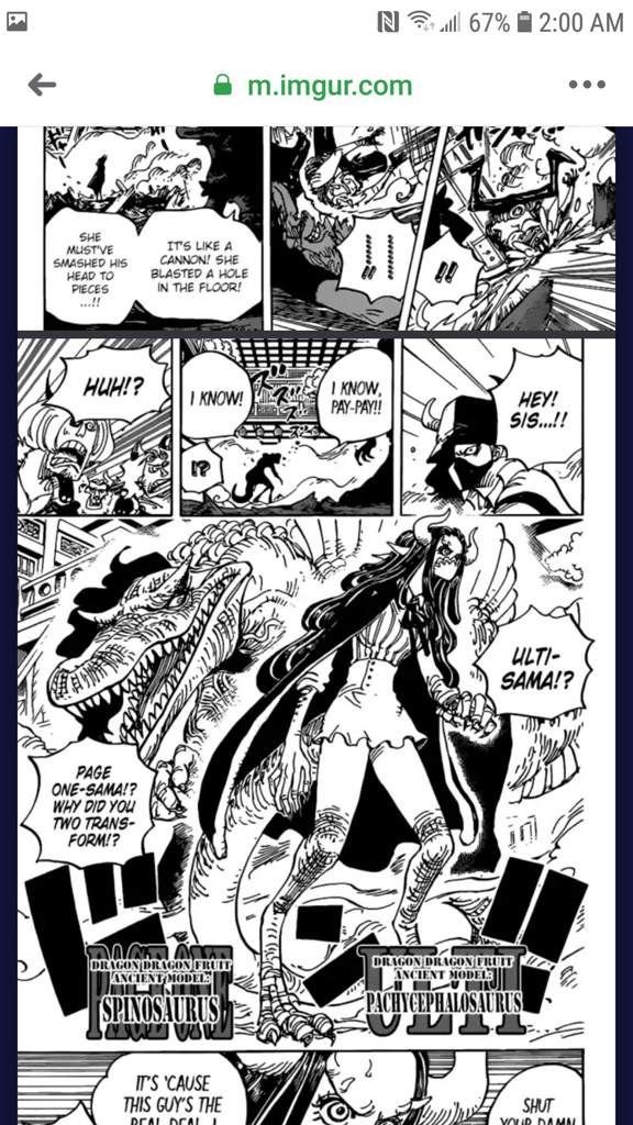 One Piece Chapter 9 Anime Amino