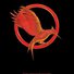 amino-The~Hunger~Games~Everlark~Fan!-760813a2