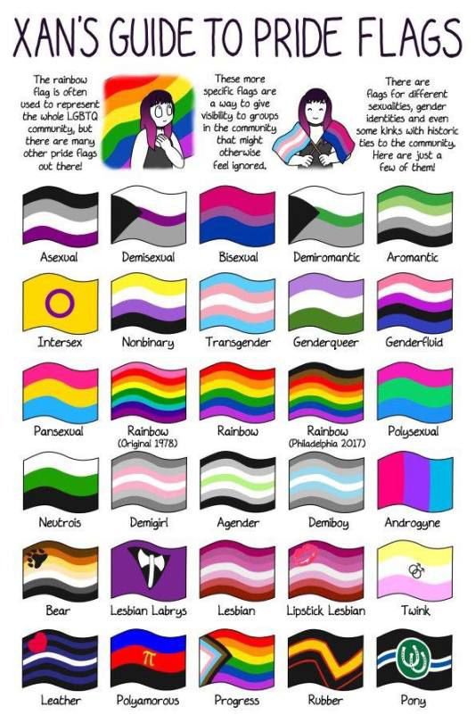 Non Binary All The Lgbtq Flags And Meanings 17 Commonly Used Lgbtq