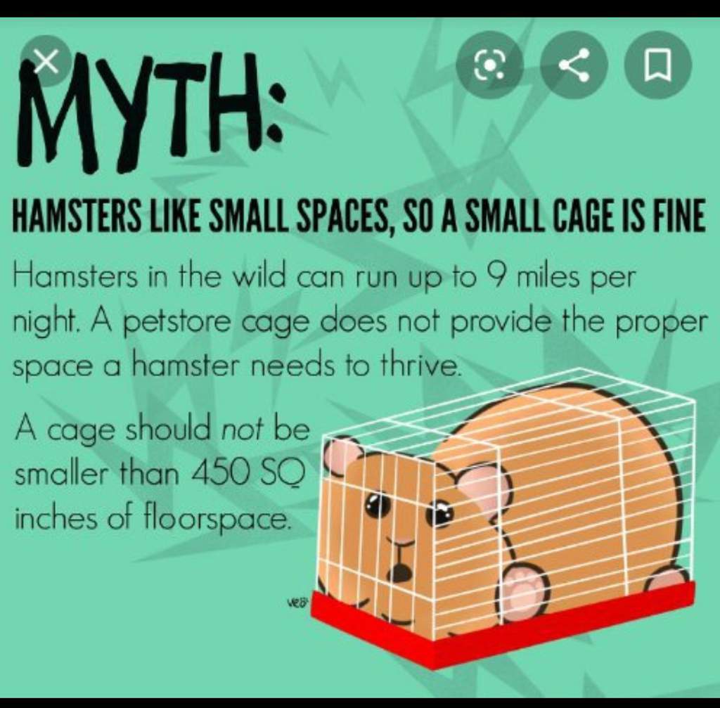 450 inch hamster cage