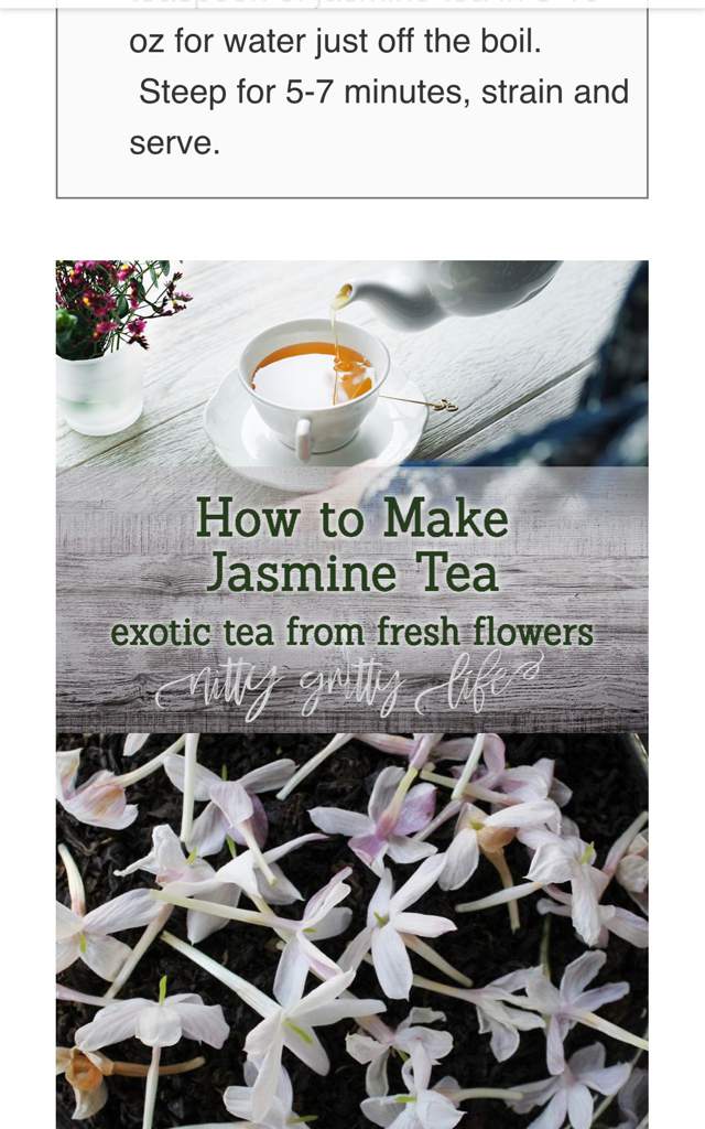 Star Jasmine, poisonous? Natural Wellness Amino
