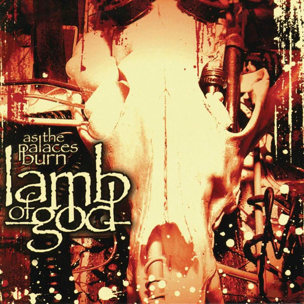 the lamb band called the cult