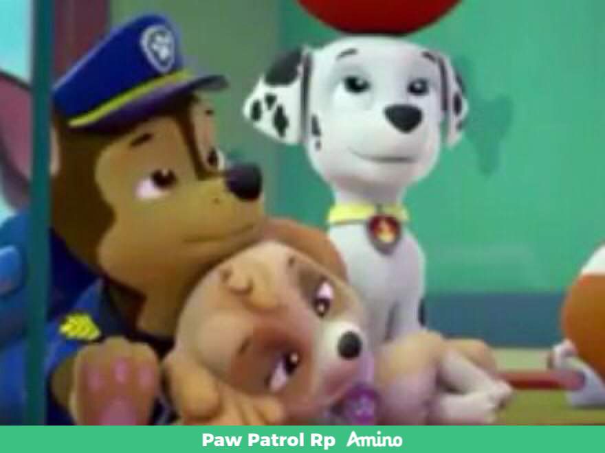 mighty pups chase
