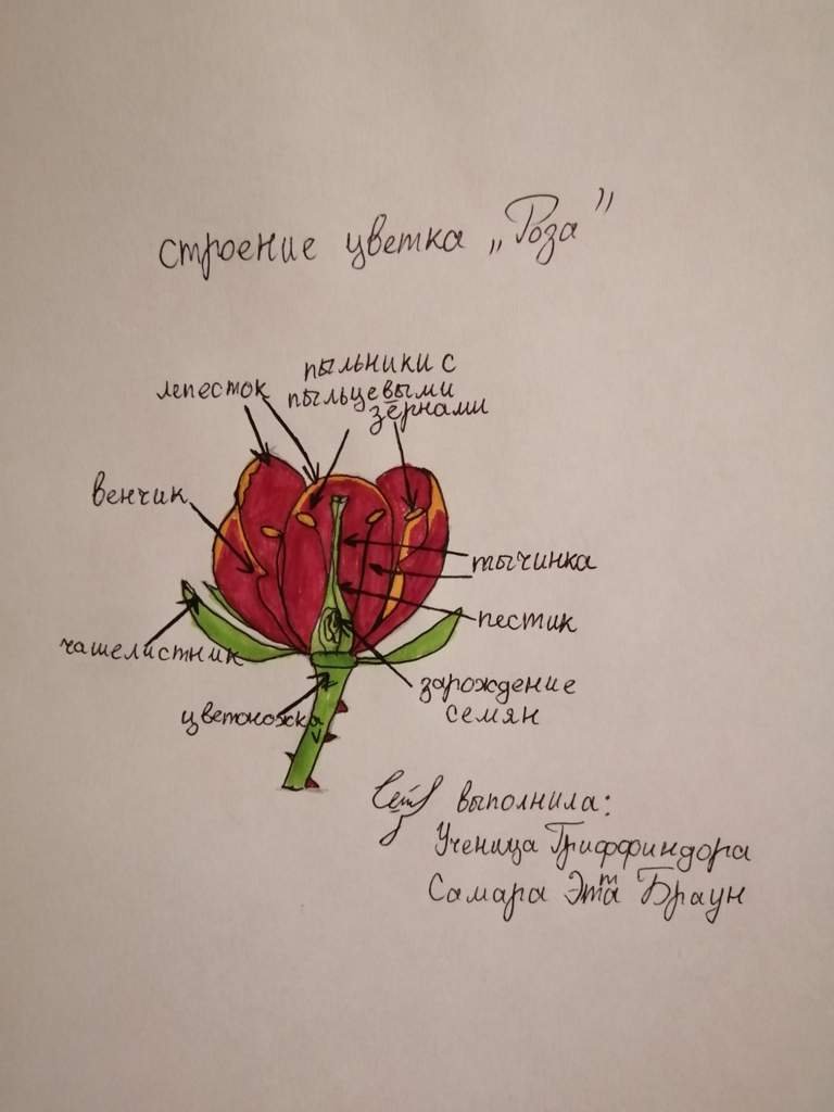 Как подписать букет подруге на день рождения