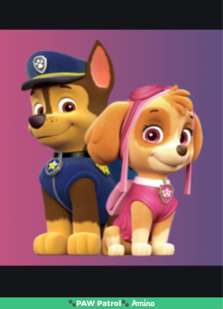 mighty pups chase