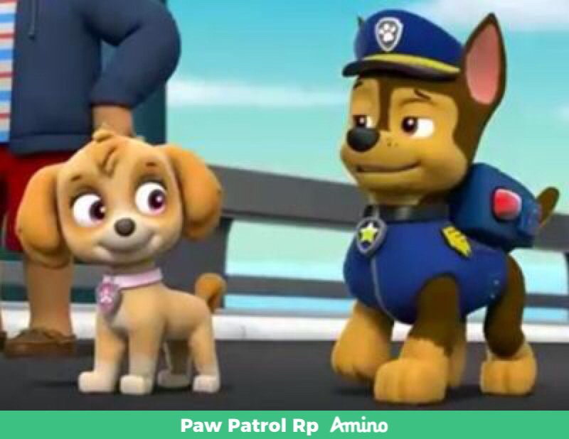 paw patrol mighty chase
