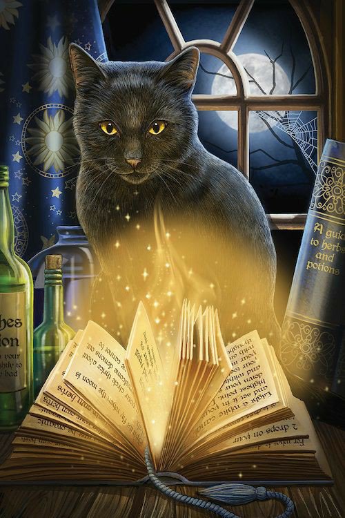 🐅History of Cats and Witchcraft🐅 | The Witches' Secret Amino