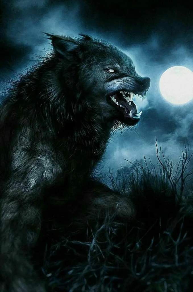 🐺 Wolf Killer 🔪 | Крипепаста AMINO Amino