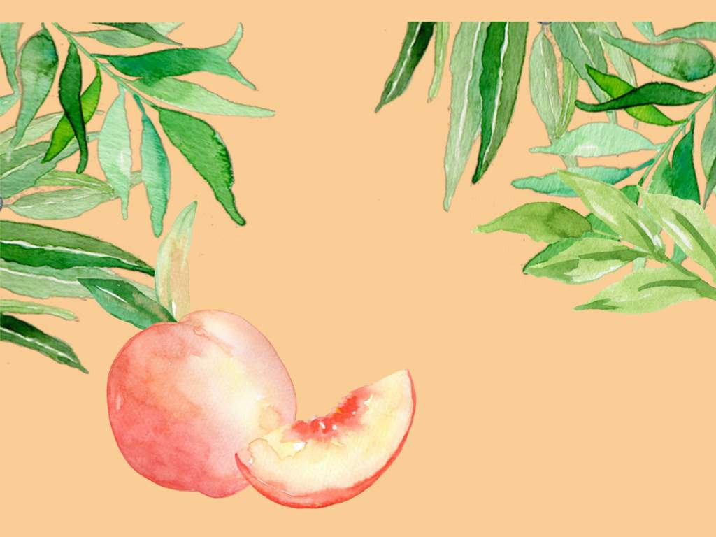 Call Me By Your Name Book Club Amino Amino