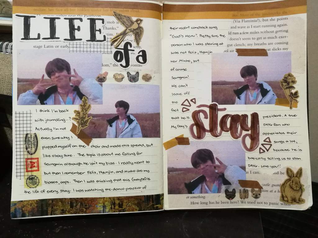 Life of a STAY || Kpop Journal | K-Pop Amino