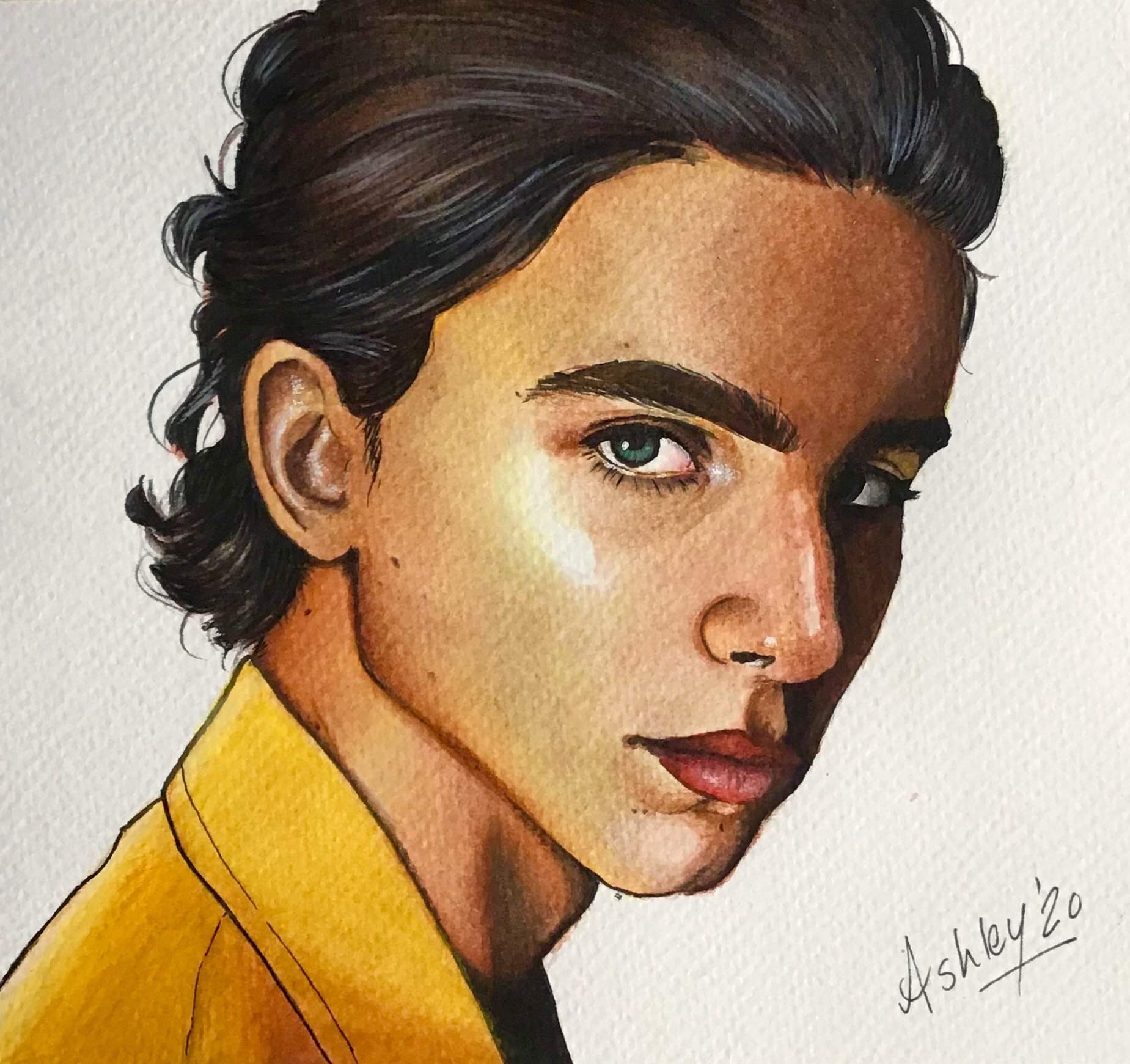 Watercolour-- timothée chalamet | Beginner Artist Amino