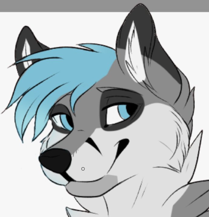 🏳️‍🌈Grey Fox🏳️‍🌈 | Furry Amino