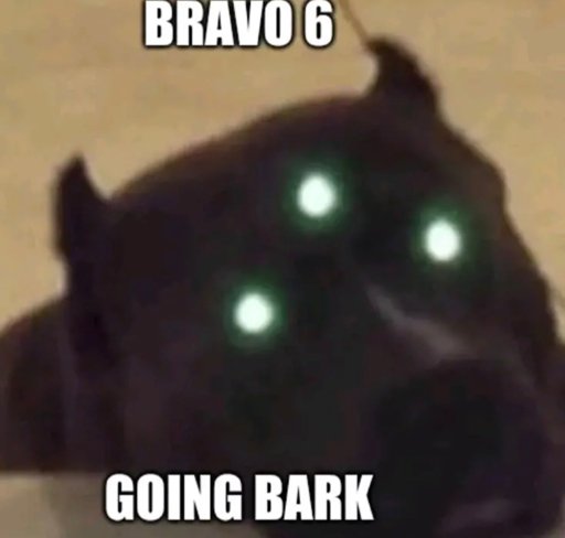 Featured image of post Going Bark Meme memes like are you f cking gay are allowed but may be removed at moderator s discretion