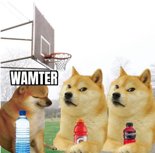 Exquisite Doge Dank Memes Amino picture image