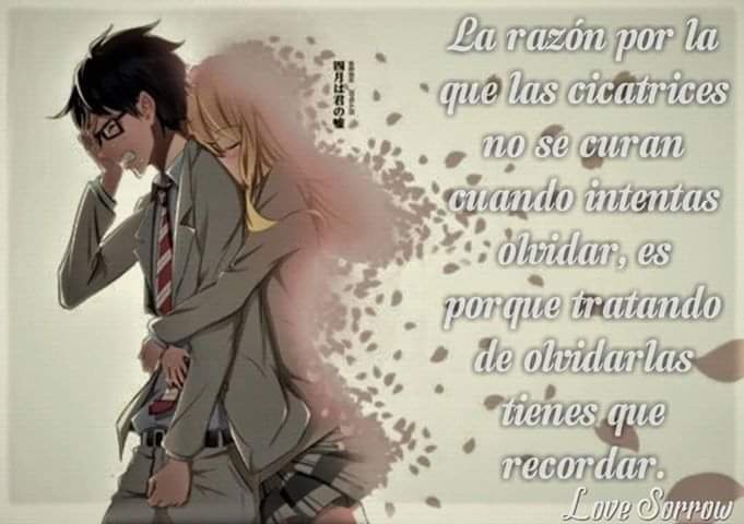 Frases anime | ❤•Anime Manga y Amor•❤ Amino