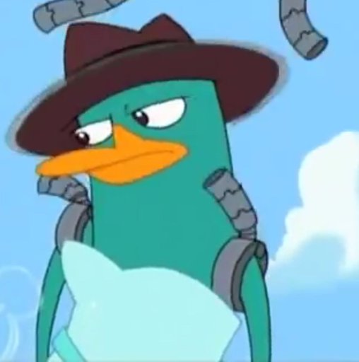 Female Perry the Platypus OC | Wiki | Phineas and Ferb. Amino