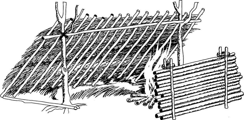 Нарисуйте в тетради схему устройства простейшего шалаша который можно соорудить используя жерди