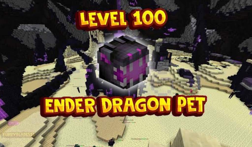 Lvl 100 Legendary Ender Dragon pet Minecraft Amino