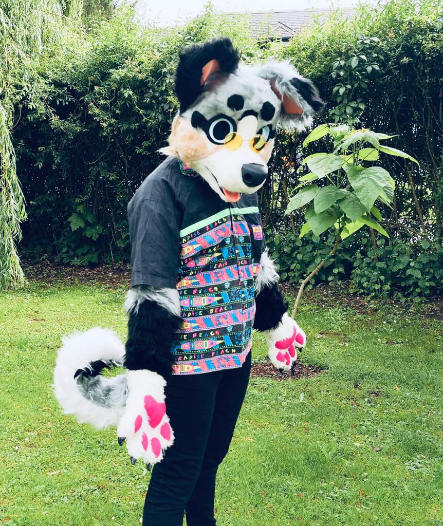 🌈 trippy lenny 🗑 / working on a fursuit | Furry Amino
