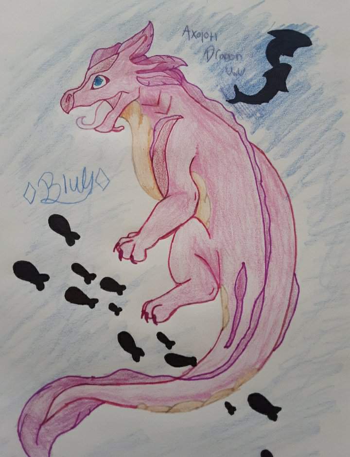 Axolotl Baby | Wings Of Fire Amino