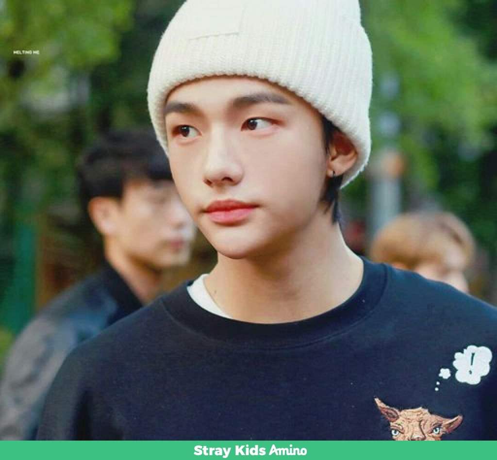 ˡᵒᵛᵉˢᵏᶻ | Stray Kids Amino