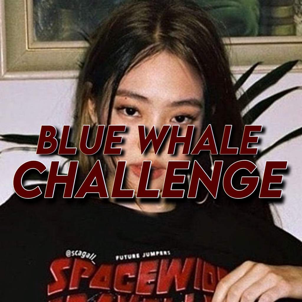 blue whale challenge | Blackpink - 블랙핑크 Amino