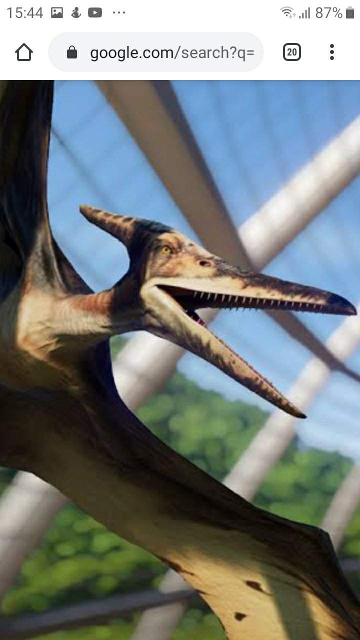 Luta jurássica14/pteranodon vs quetzalcoatlus | Universo Jurássico PT ...