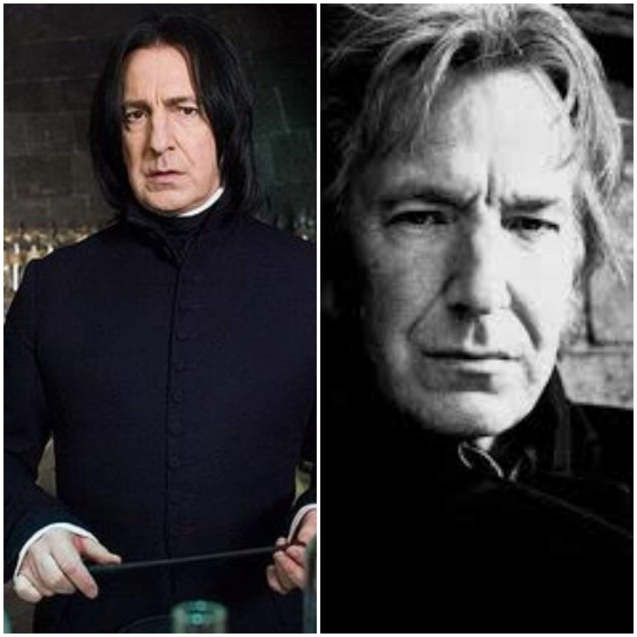 Alan Rickman = Severus Snape | Harry Potter Amino