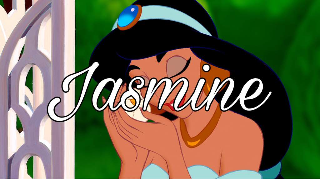 3 Different Princess Rankings! PART 1 Disney Amino