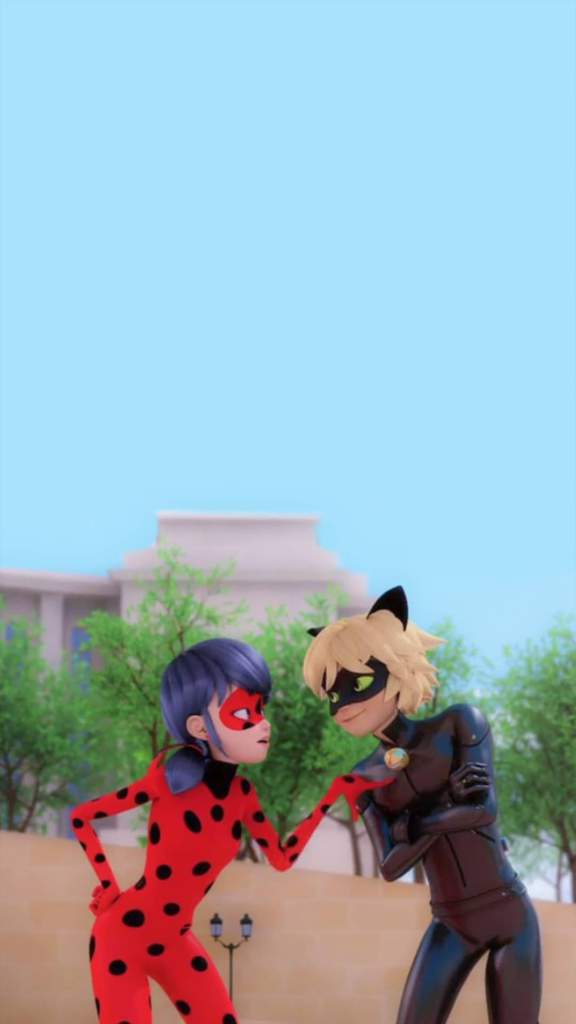 Ladynoir wallpapers Miraculous Amino