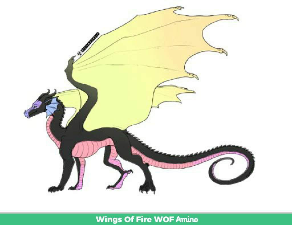RainWing Ocs | Wiki | Wings Of Fire WOF Amino
